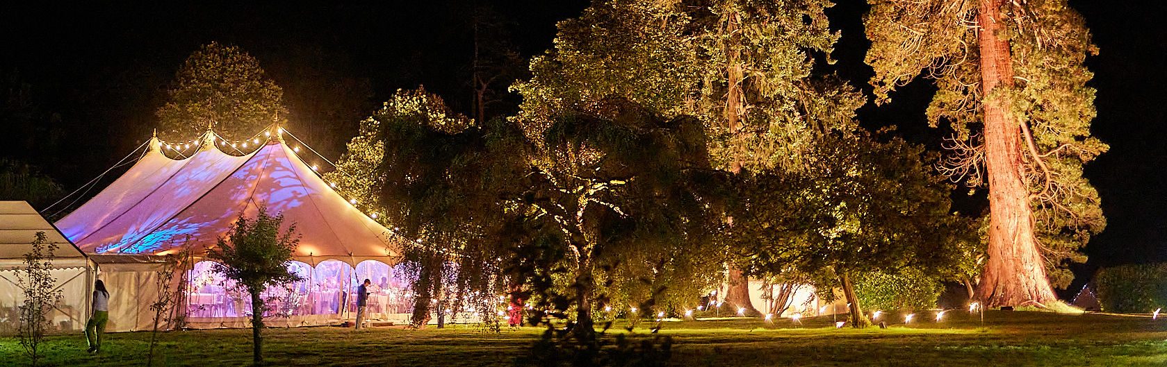 A Magical Wedding In The New Forest
