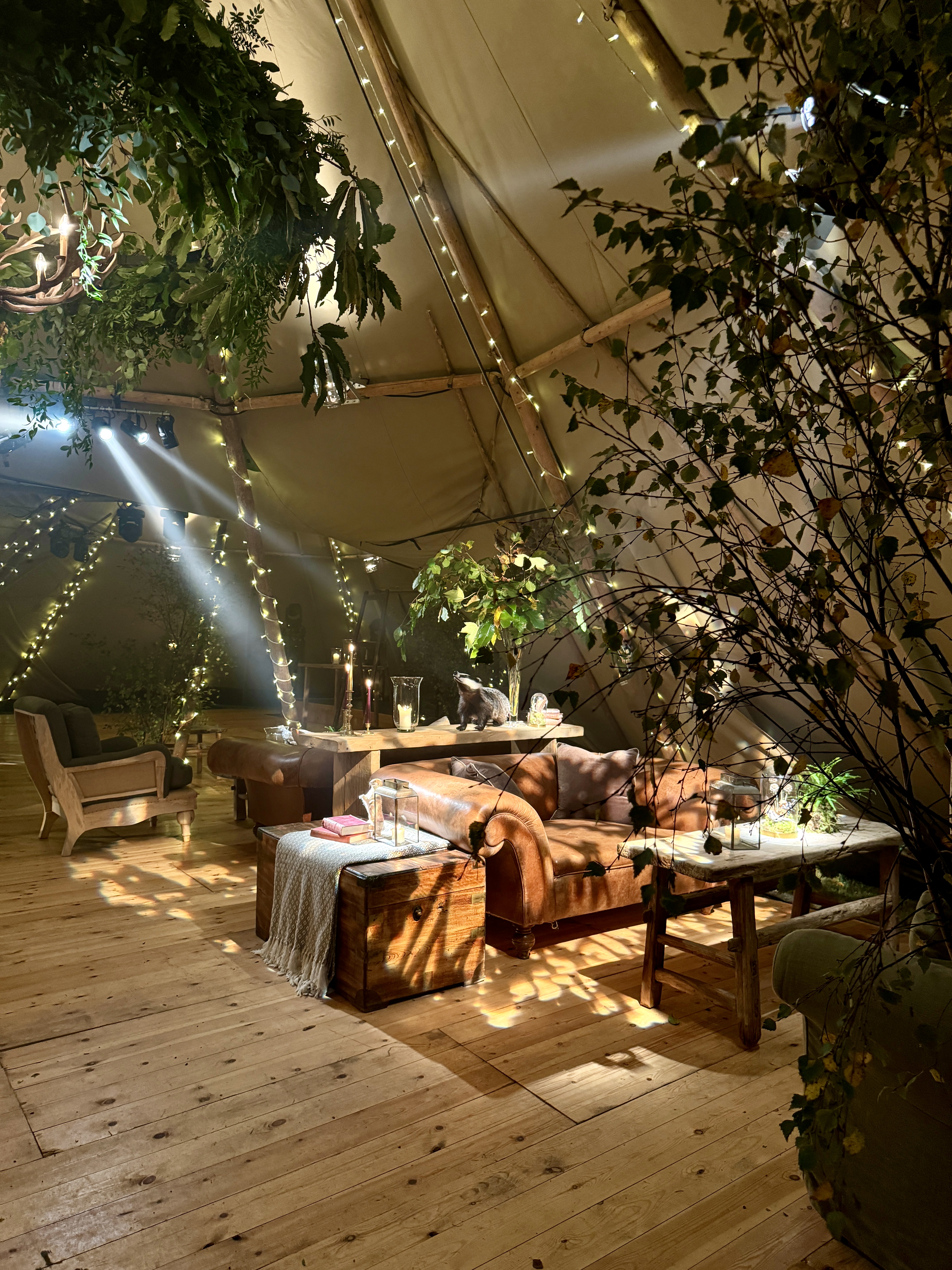 A Party In The Woods